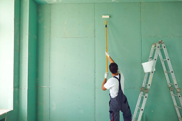 Best Dehumidification Services  in Hillsboro, OH
