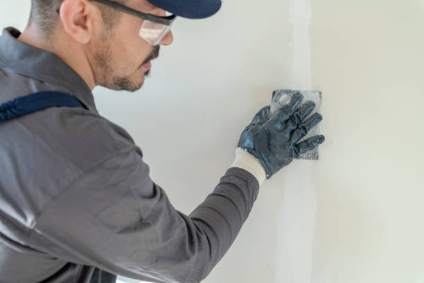 Best Basement Mold Removal  in Hillsboro, OH