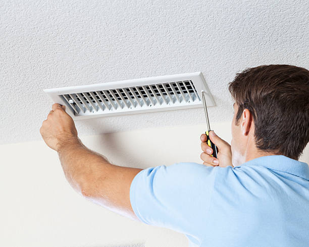 Best Attic Mold Removal  in Hillsboro, OH