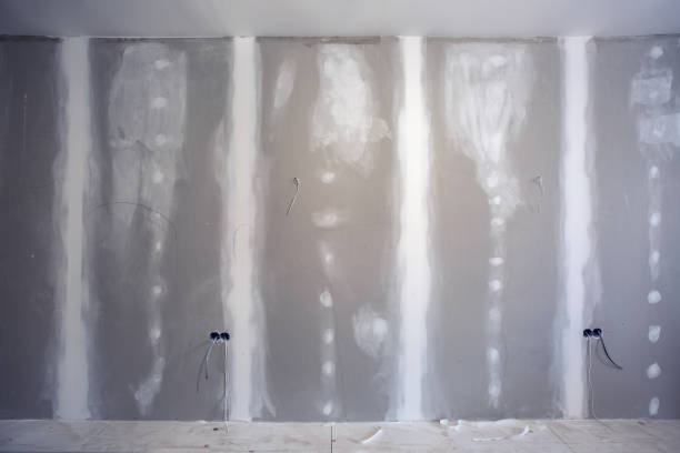 Best Mold Prevention Services  in Hillsboro, OH